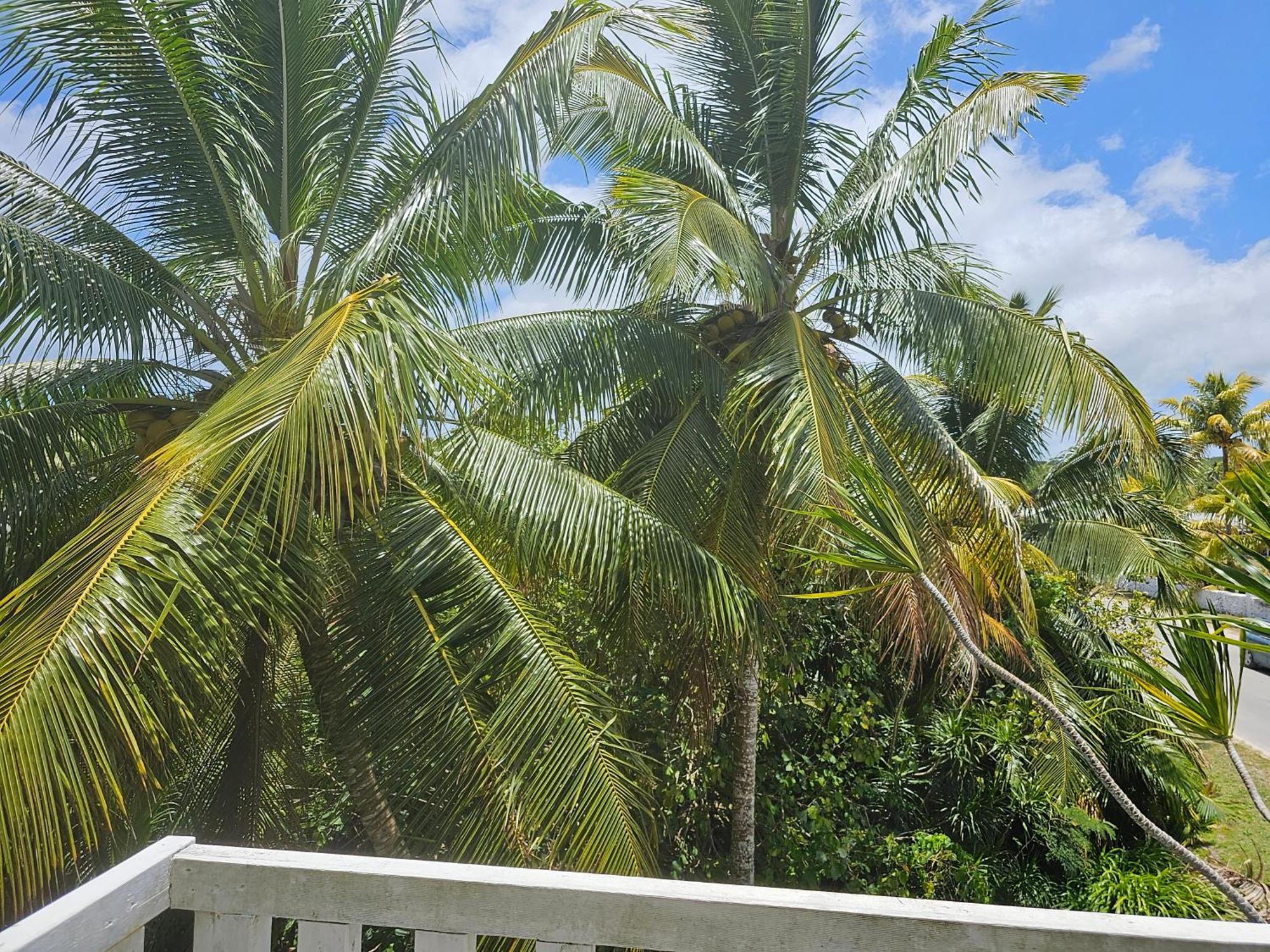 Heleni Jessop'S Fatahega Villa Alofi Exteriör bild